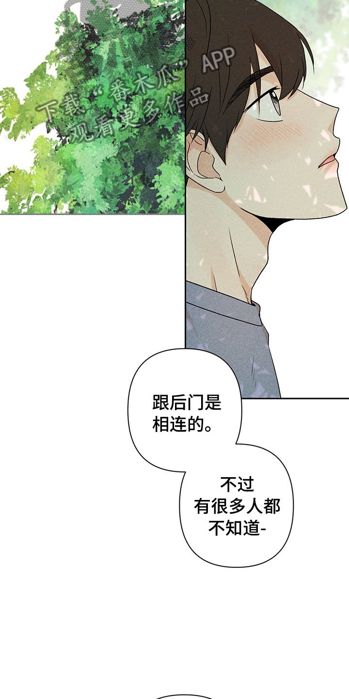 第13章：外景拍摄