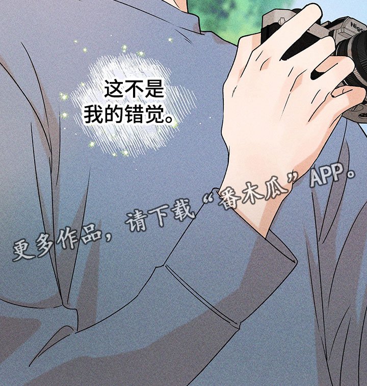 第14章：不是错觉