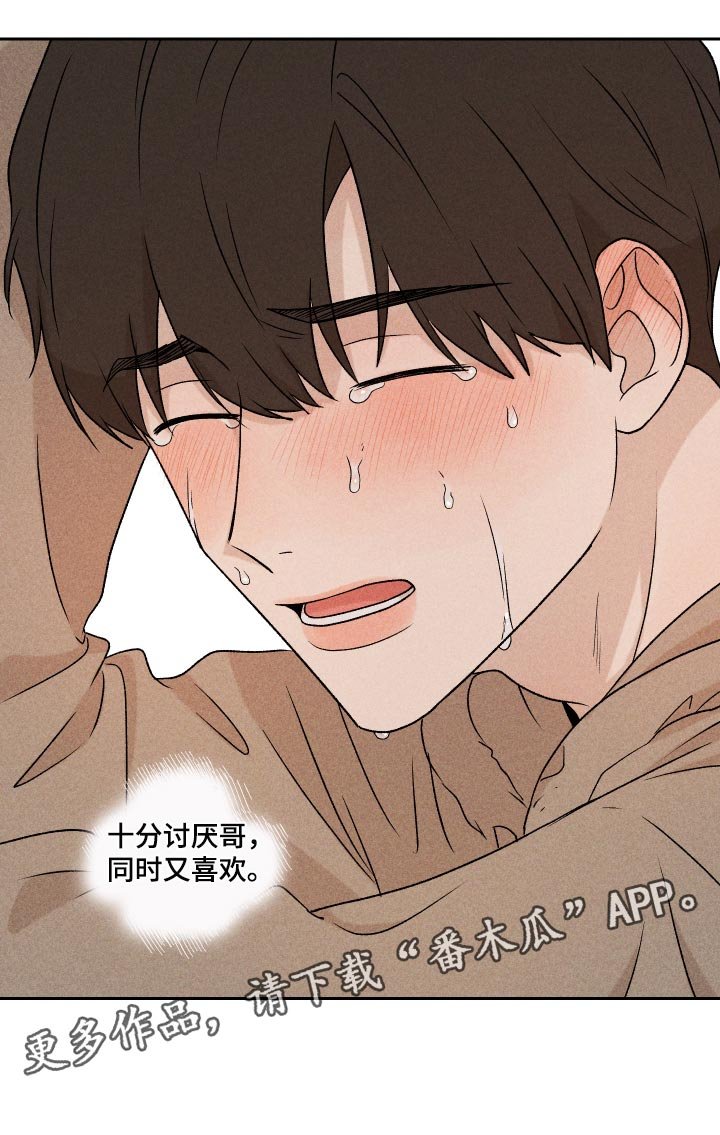 第33章：讨厌同时又喜欢