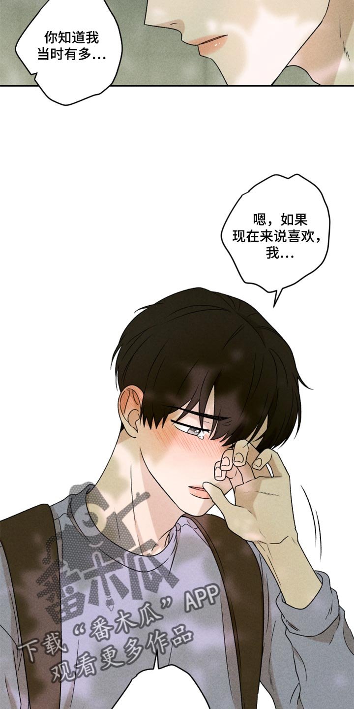 第43章：真的好喜欢你