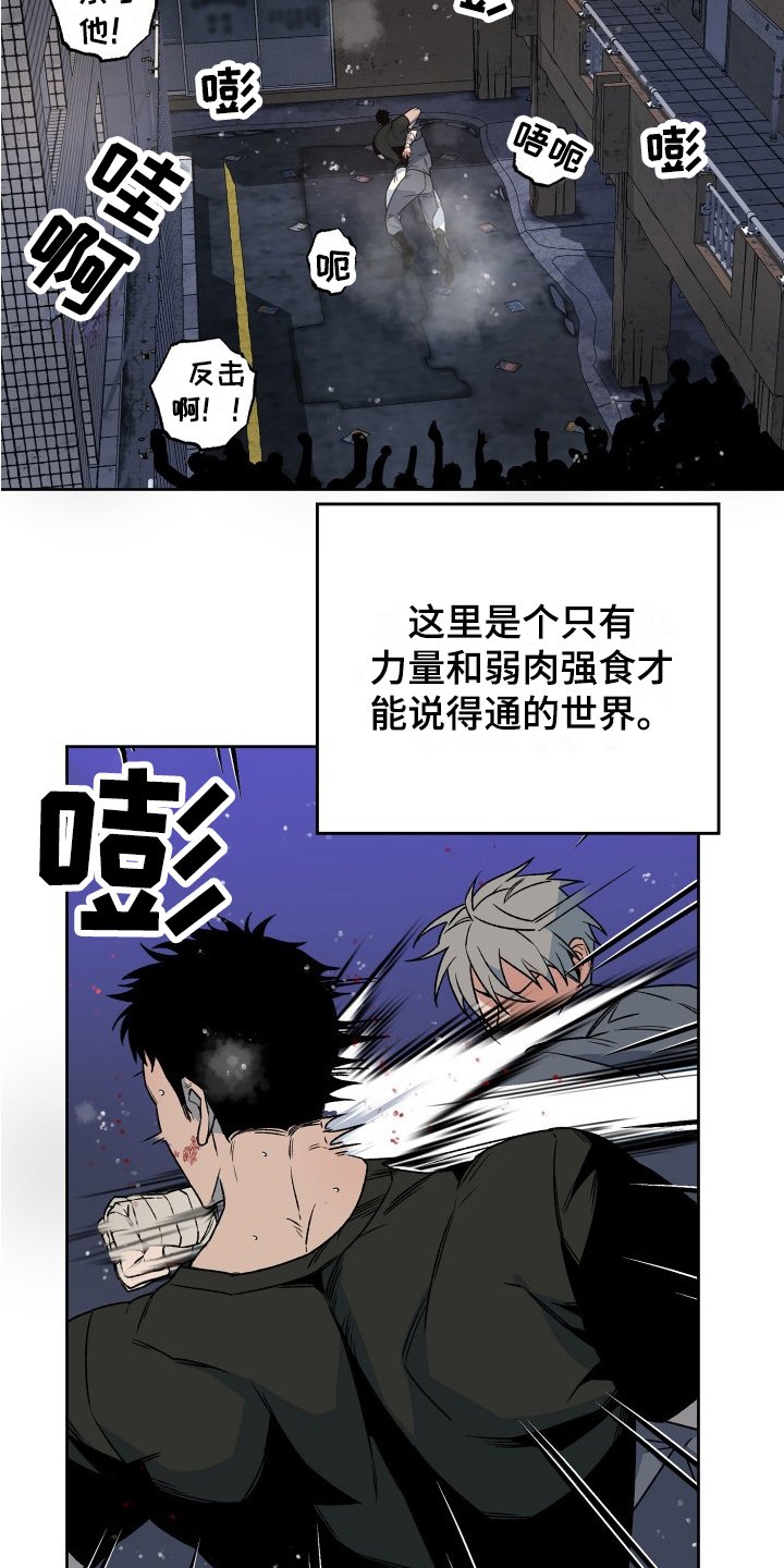 第1章：街头战士