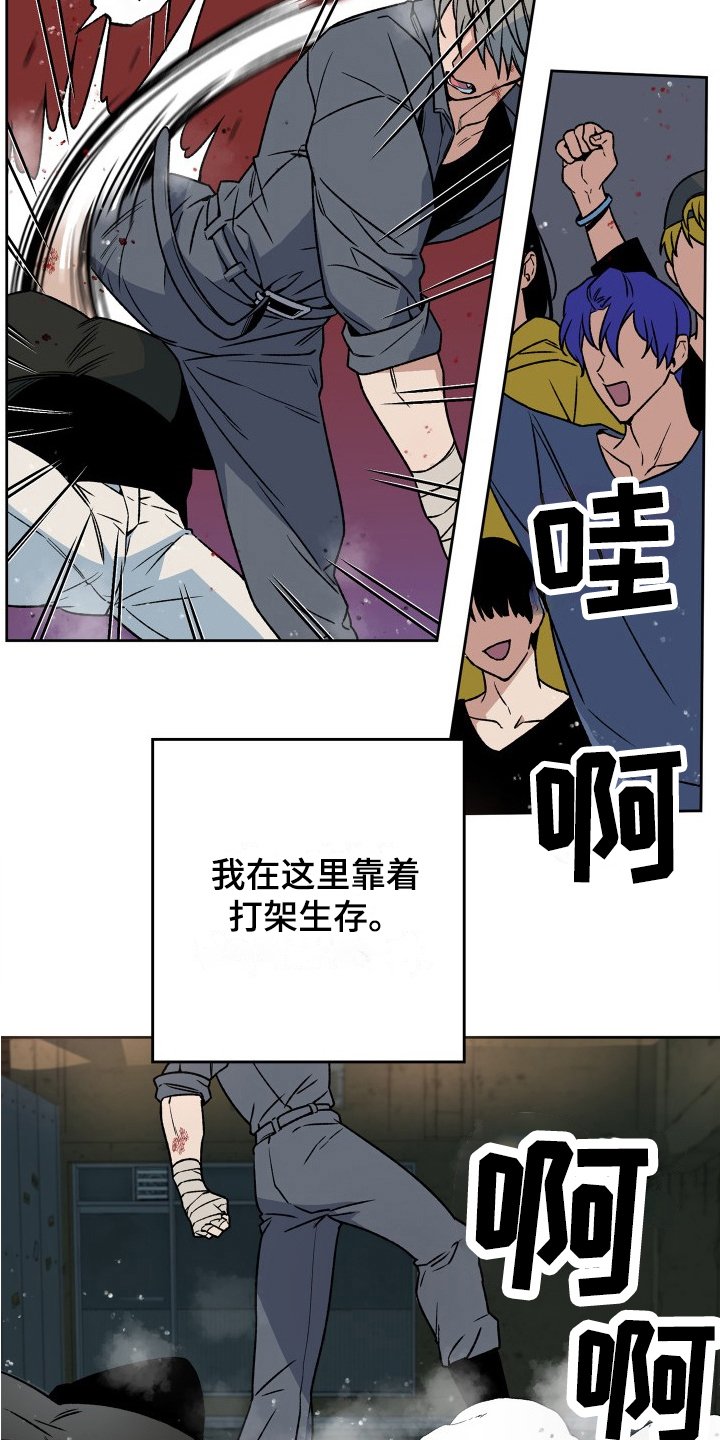 第1章：街头战士