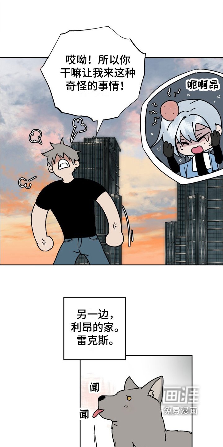 第11章：好意