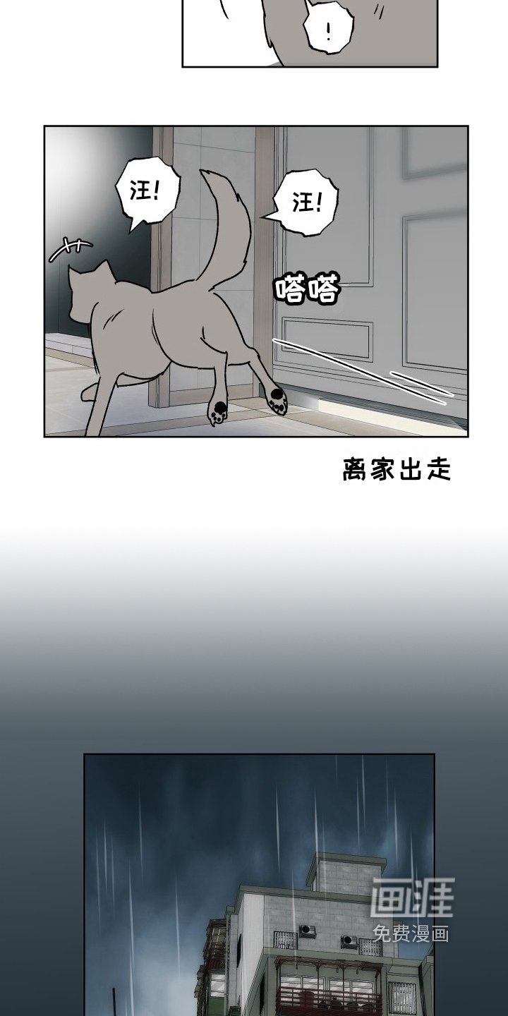 第11章：好意