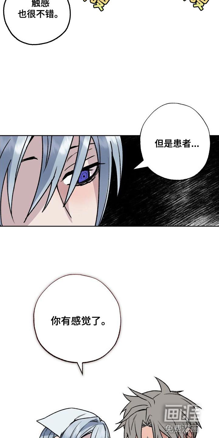 第17章：触诊