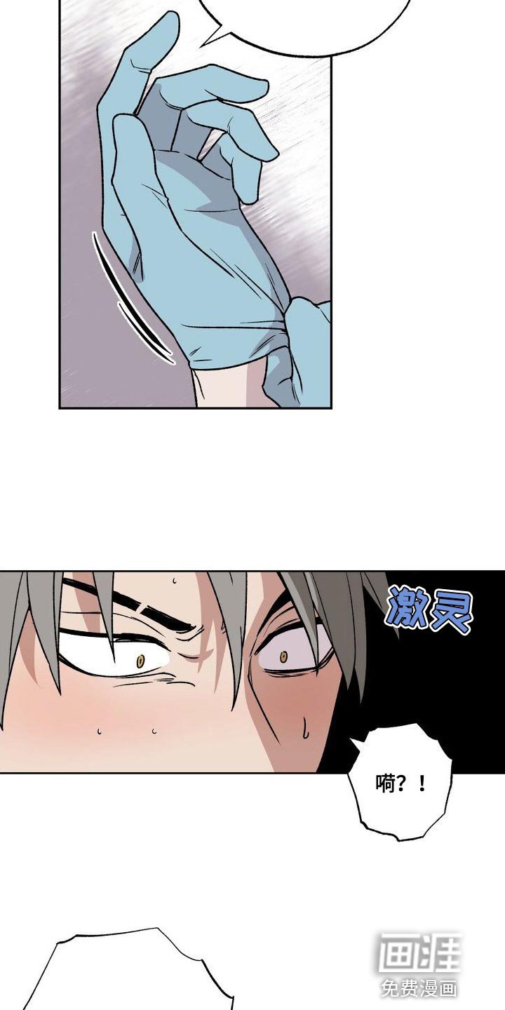 第17章：触诊