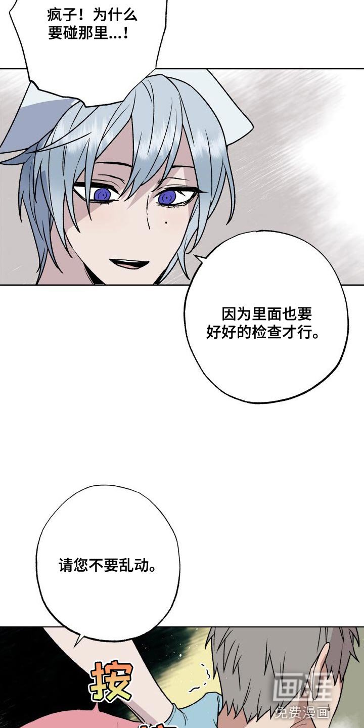 第17章：触诊