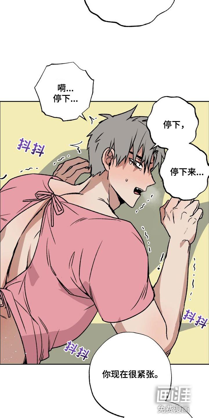 第17章：触诊