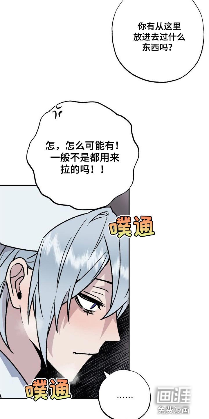 第17章：触诊