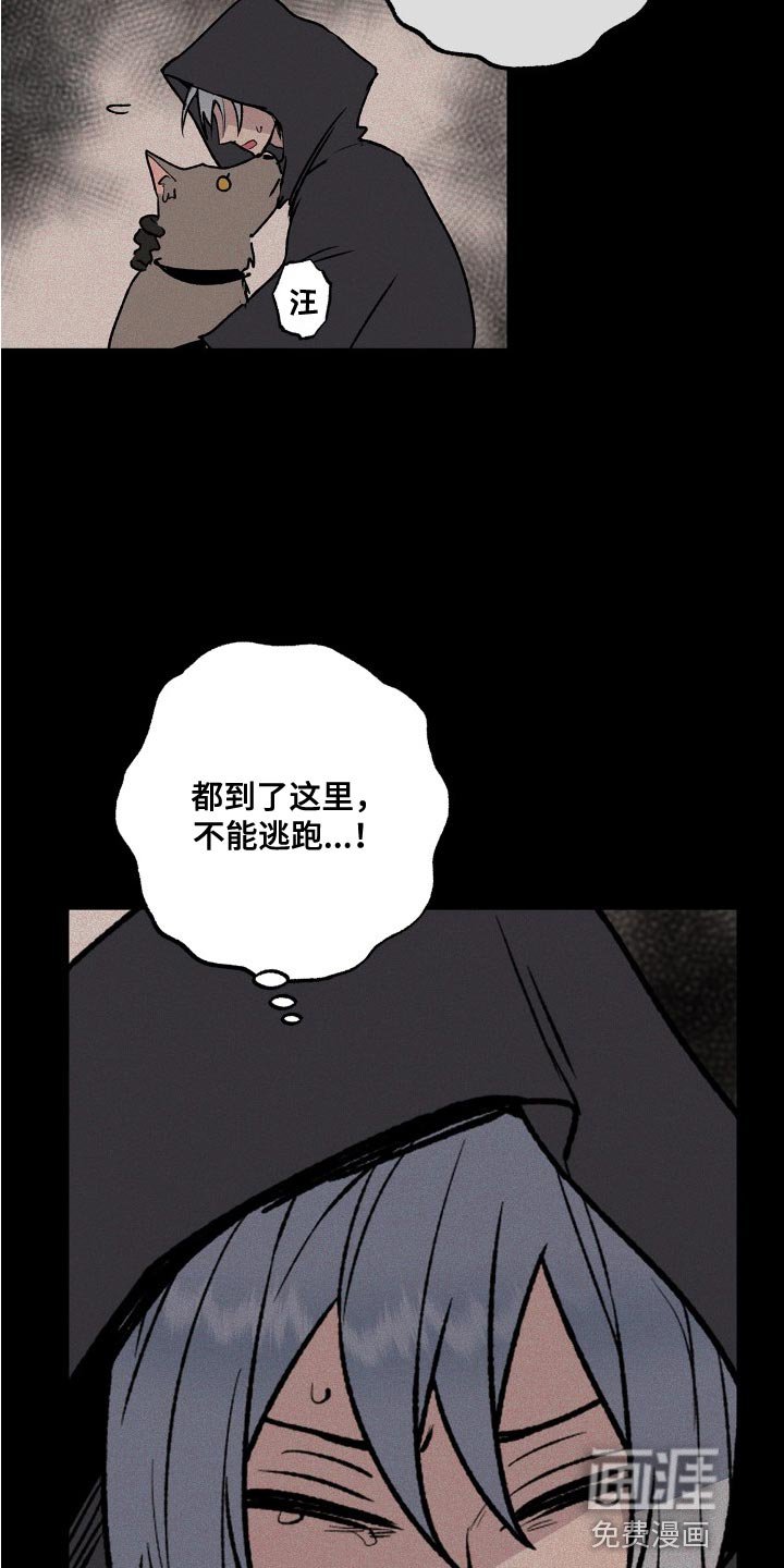 第26章：你为什么骗了我