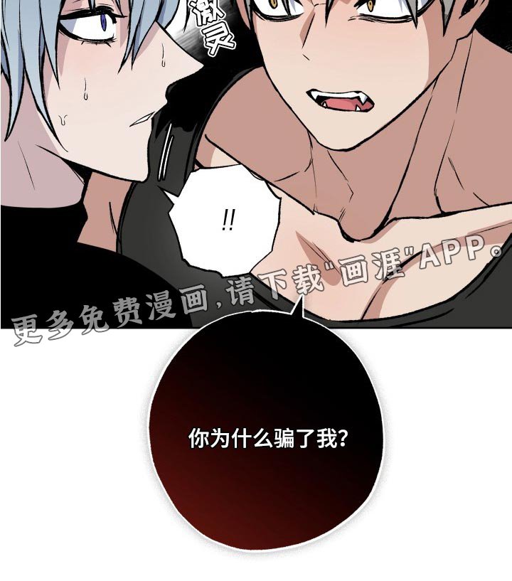 第26章：你为什么骗了我