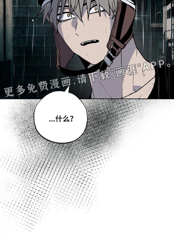 第29章：家人