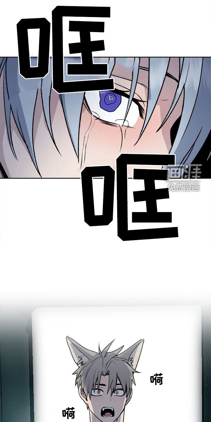 第31章：求婚