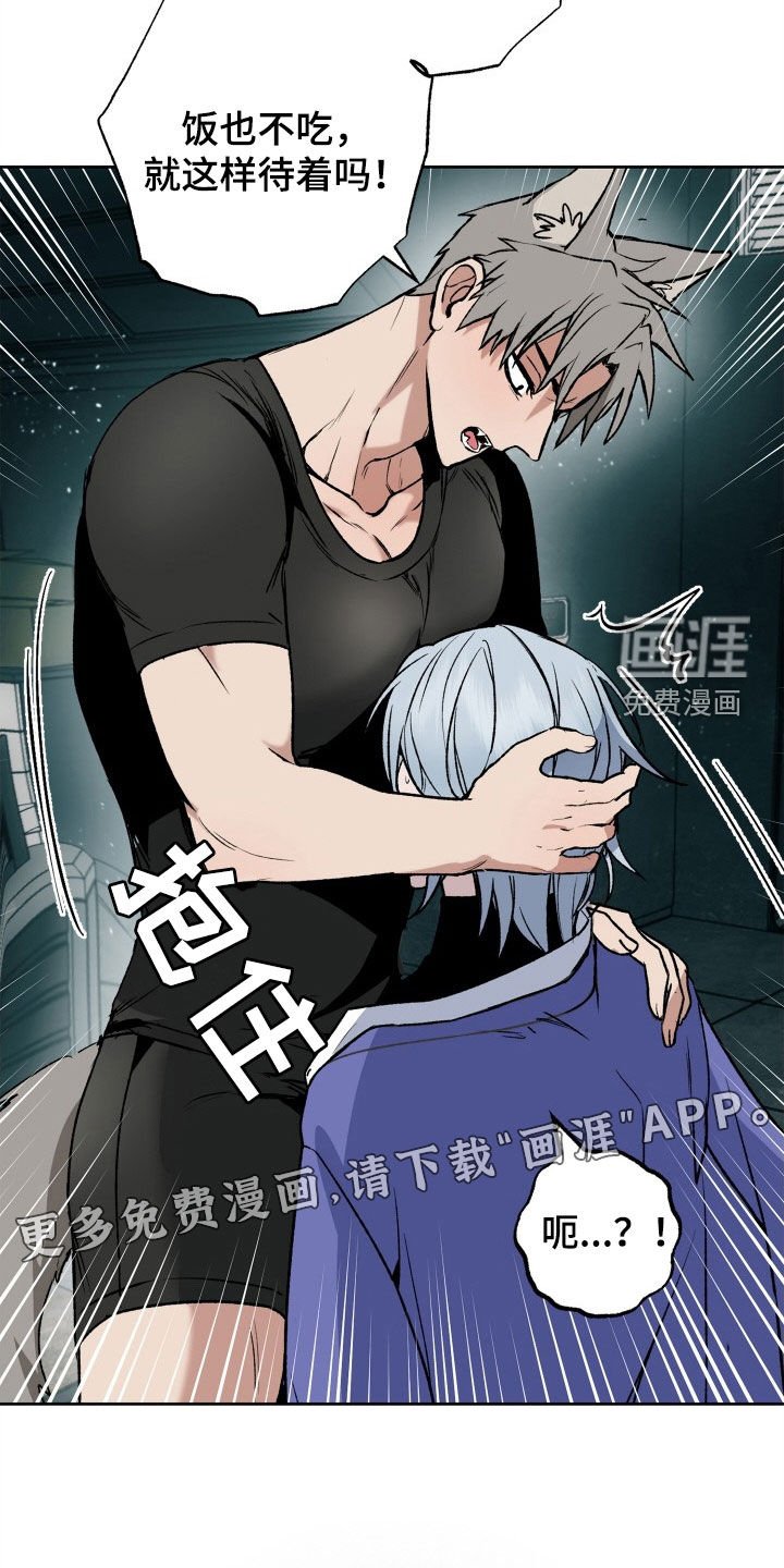 第31章：求婚