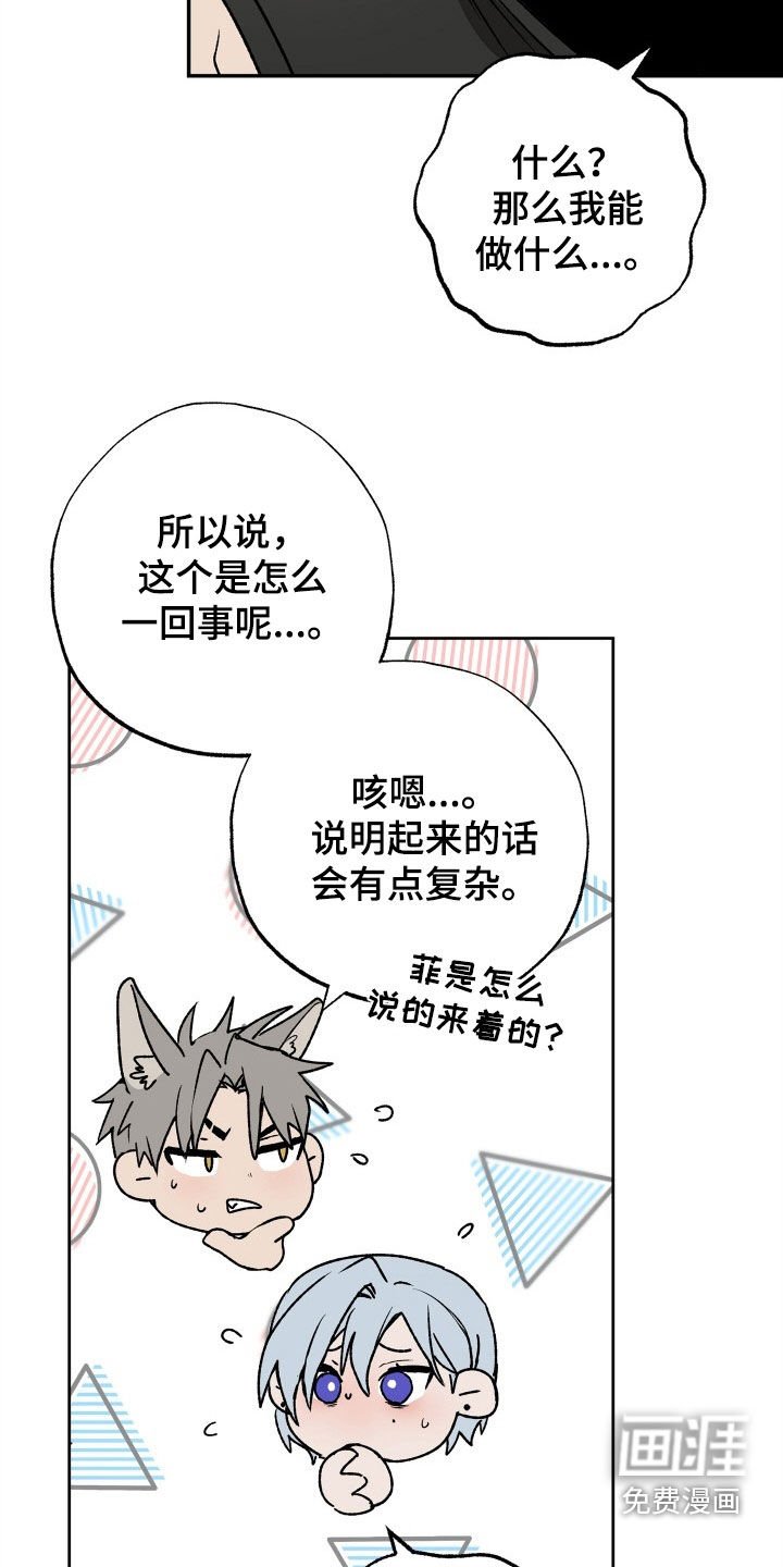第31章：求婚