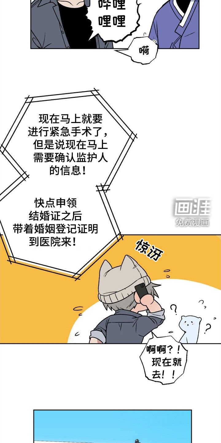 第32章：领证