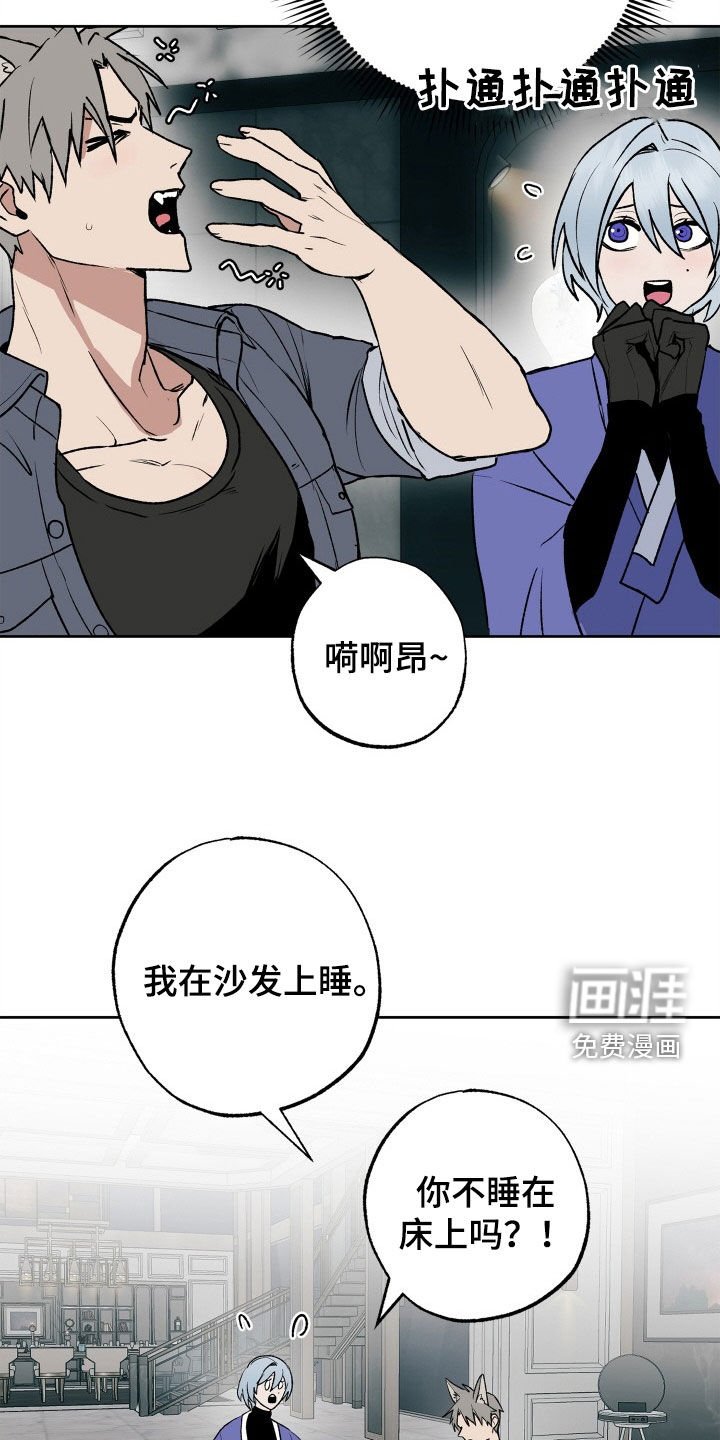 第33章：义务