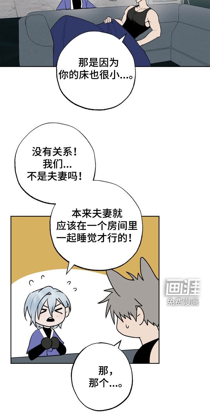 第33章：义务