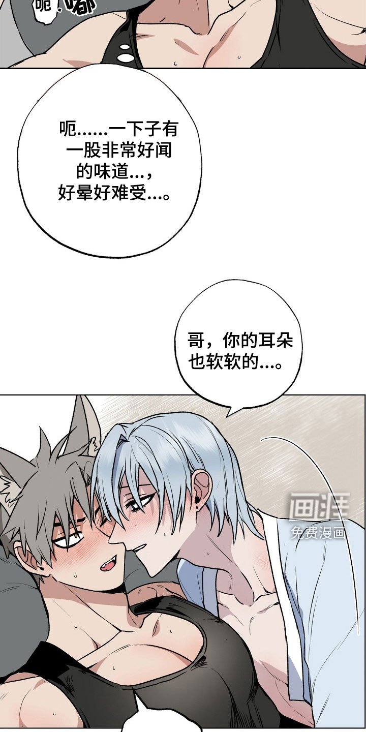 第33章：义务