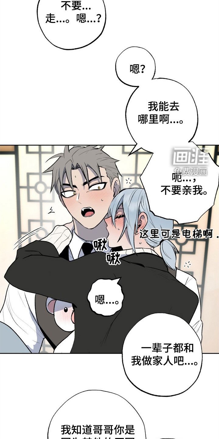 第36章：小乐趣