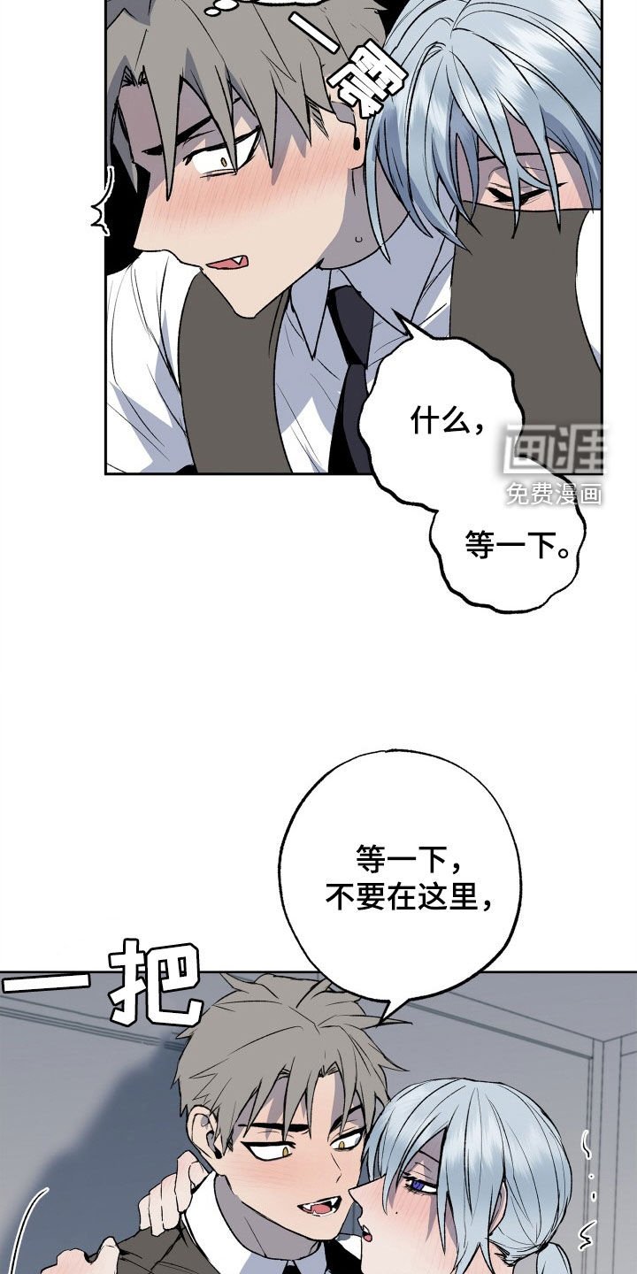 第36章：小乐趣