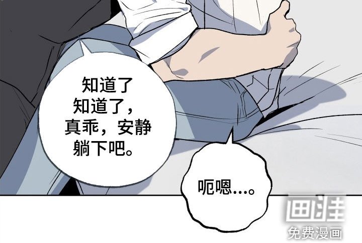 第36章：小乐趣