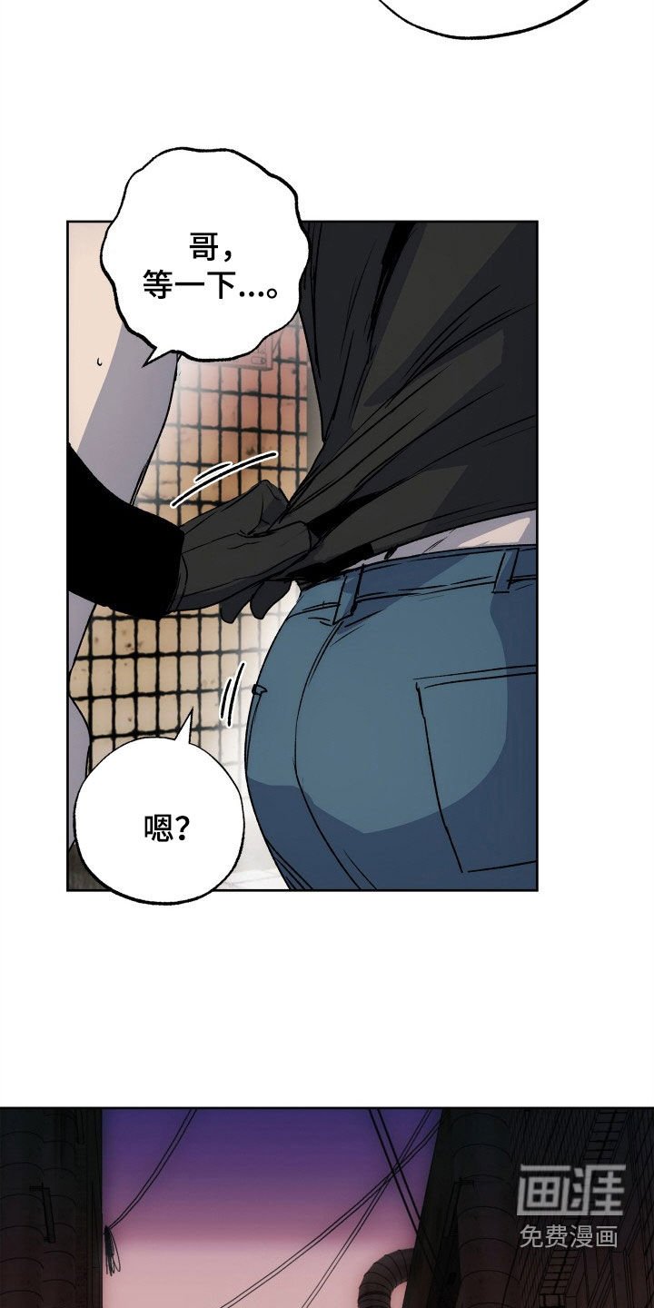 第37章：全都要