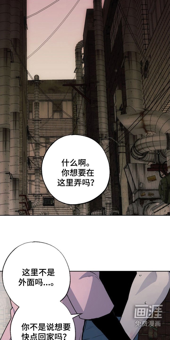 第37章：全都要