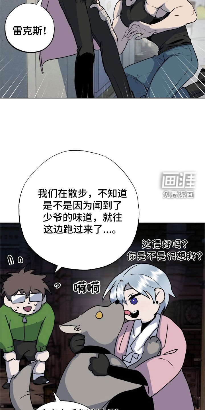 第37章：全都要