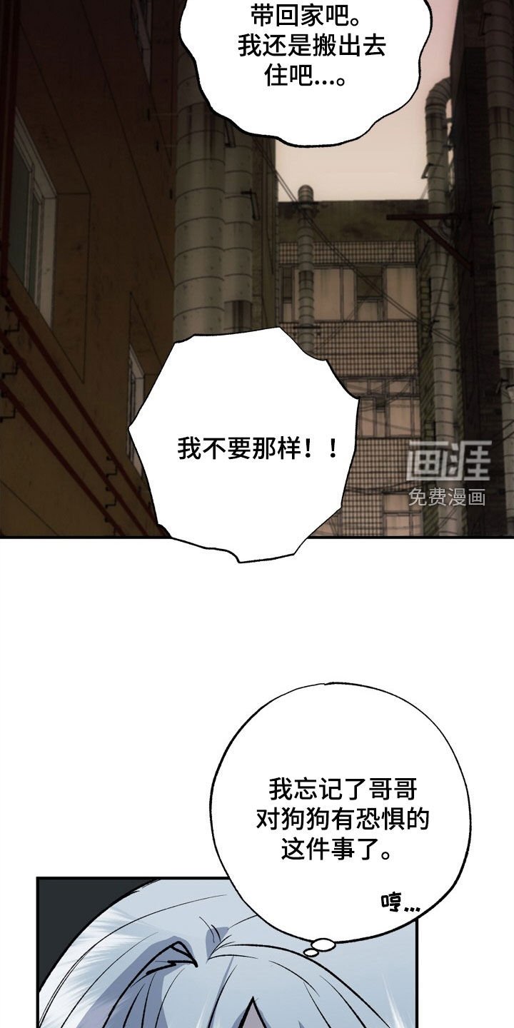 第37章：全都要