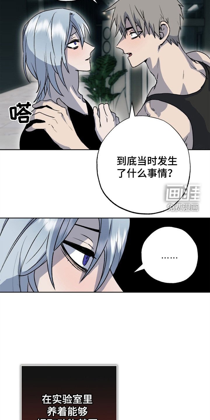 第38章：小时候的记忆