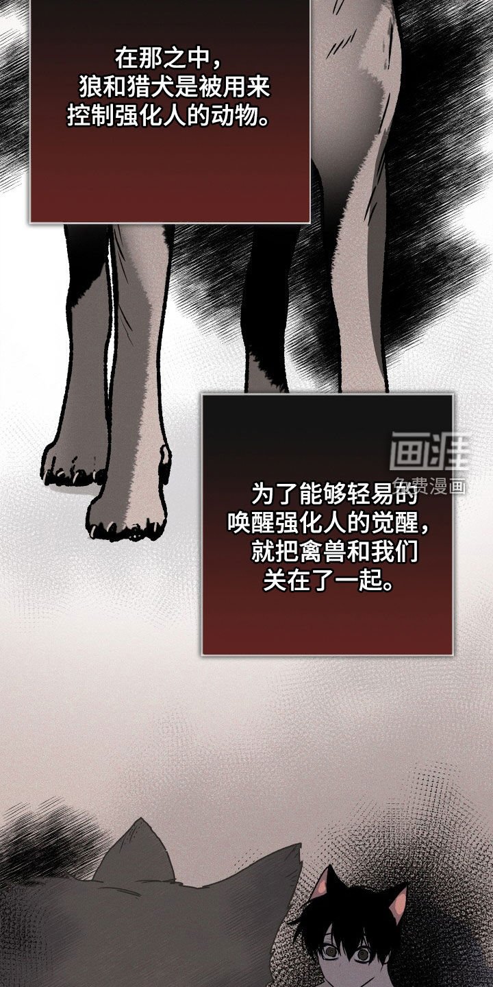第38章：小时候的记忆