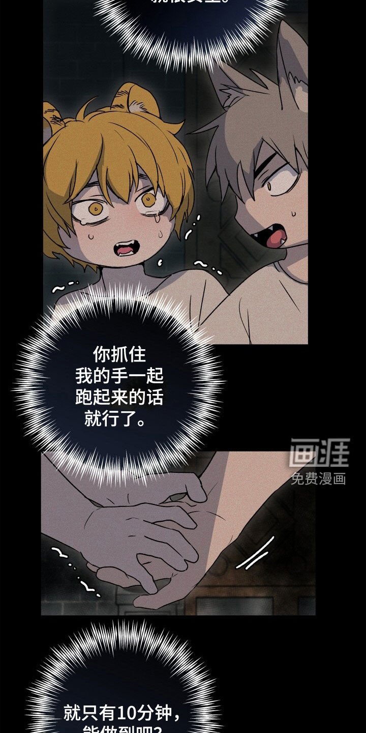 第39章：狗狗与主人