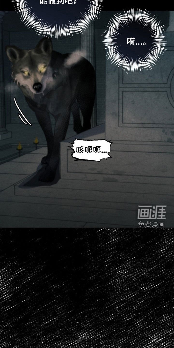 第39章：狗狗与主人