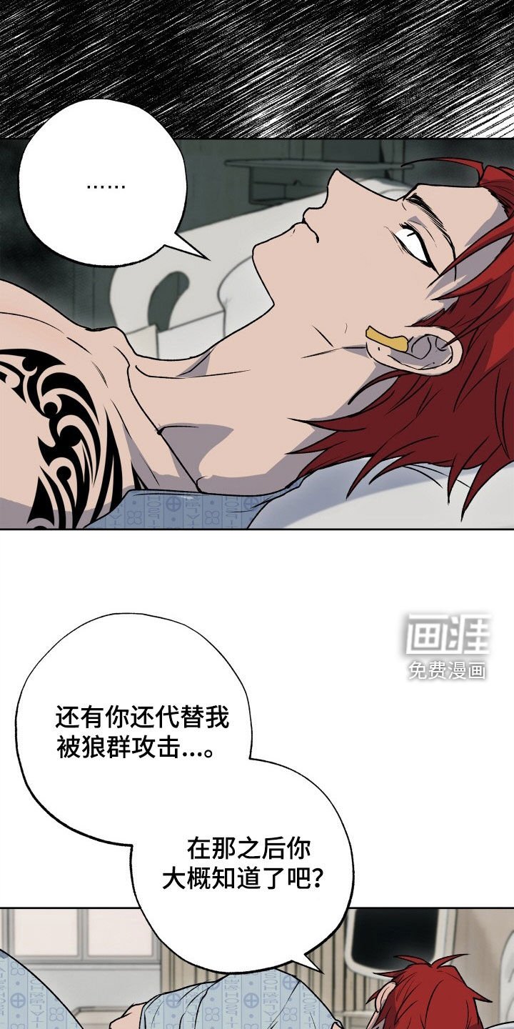 第39章：狗狗与主人