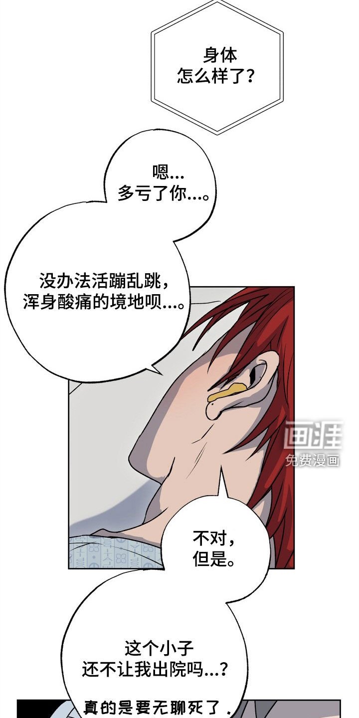 第39章：狗狗与主人