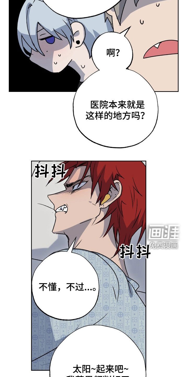 第39章：狗狗与主人