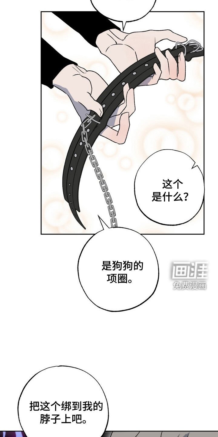第39章：狗狗与主人