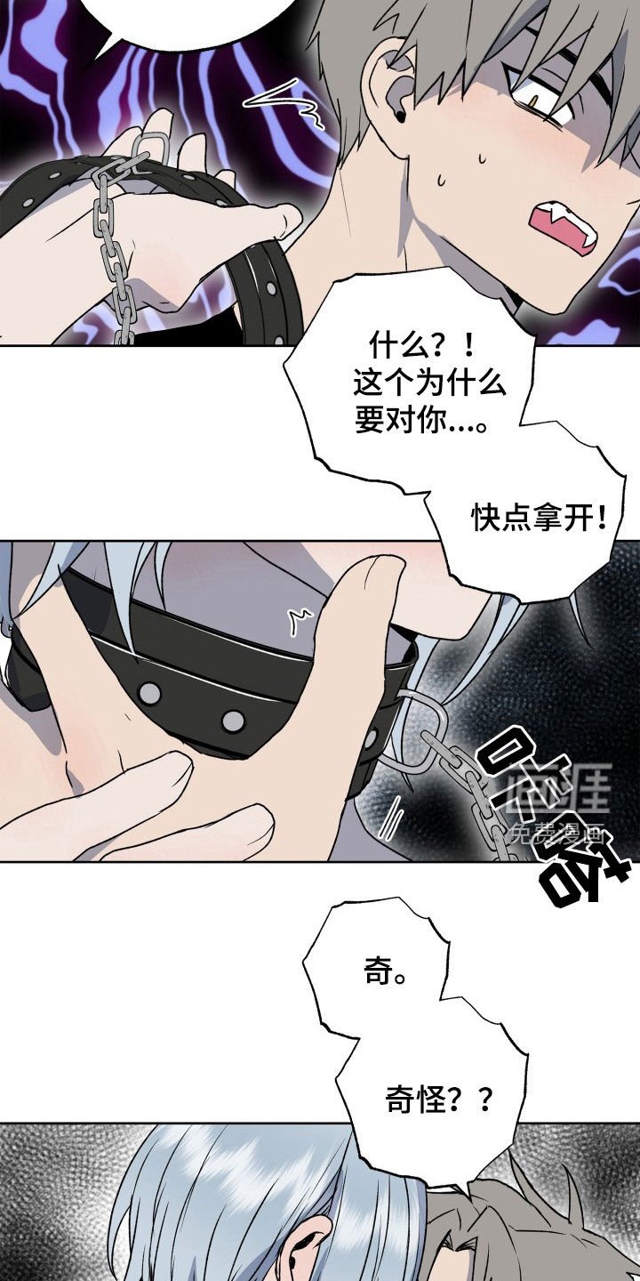 第39章：狗狗与主人