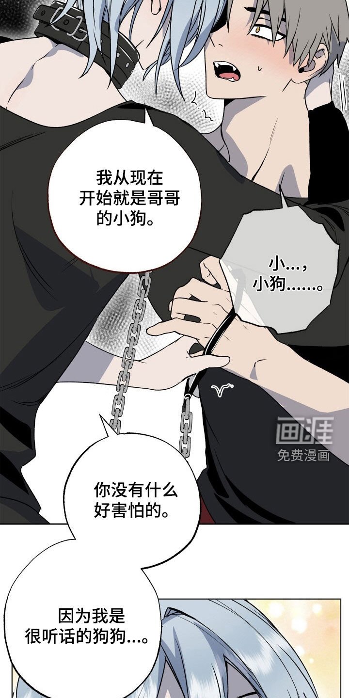 第39章：狗狗与主人