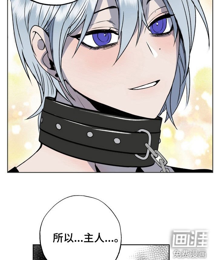 第39章：狗狗与主人