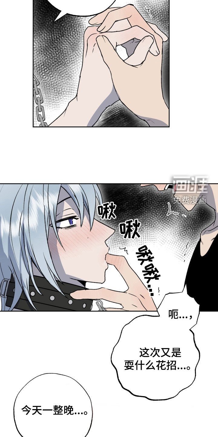 第39章：狗狗与主人