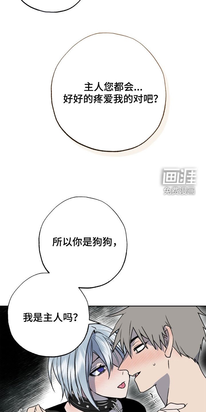 第39章：狗狗与主人