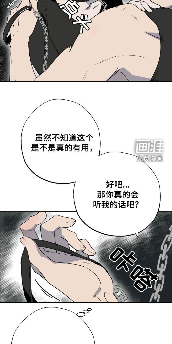 第39章：狗狗与主人