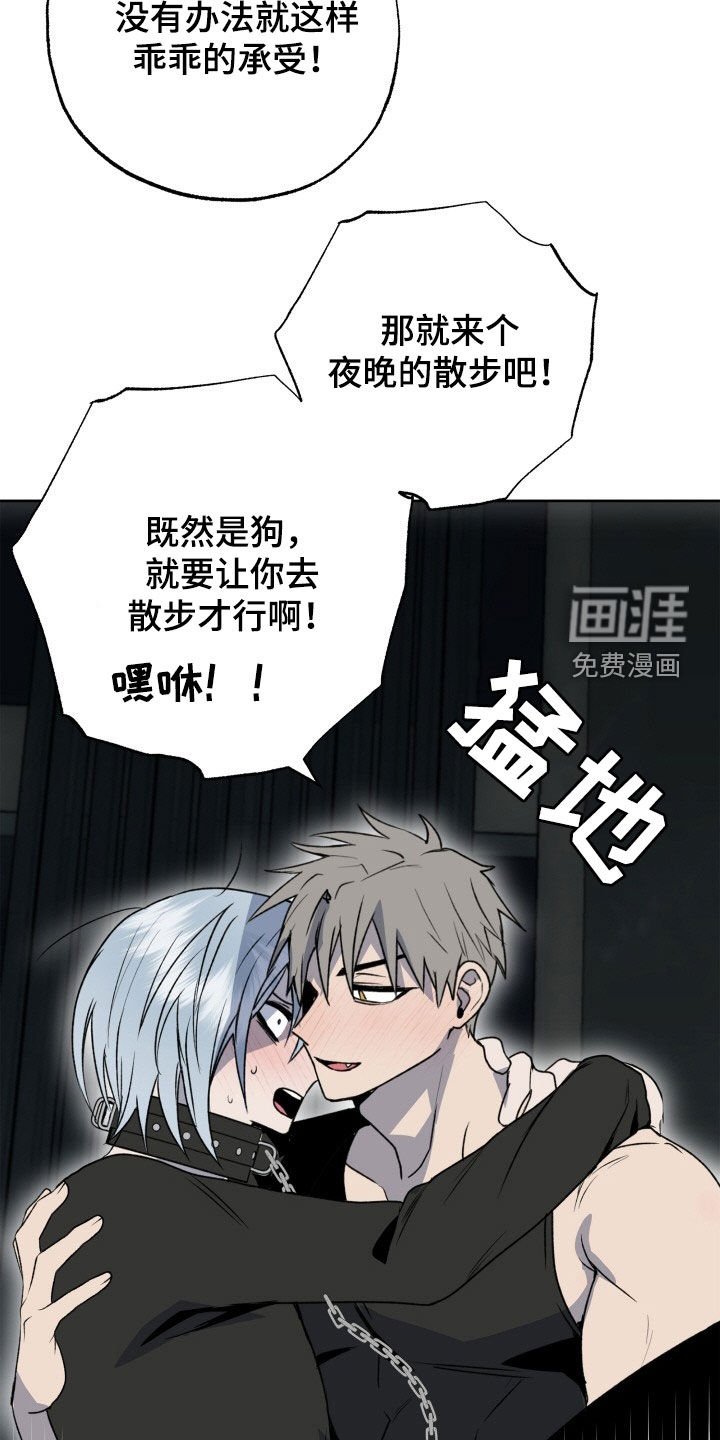 第39章：狗狗与主人
