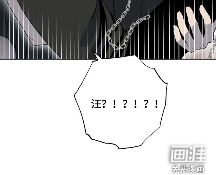 第39章：狗狗与主人