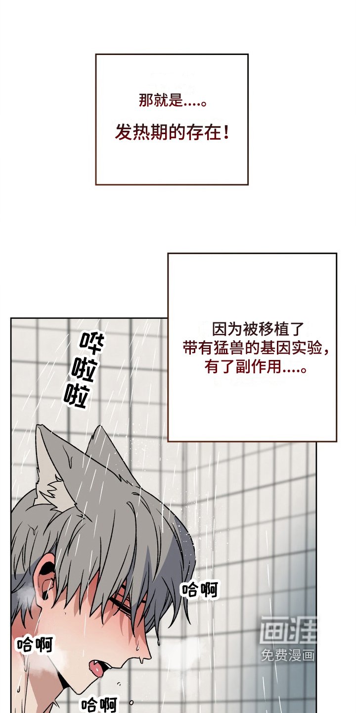 第4章：道歉