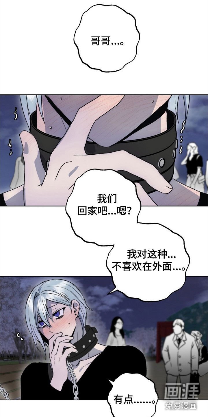 第40章：致命缺陷