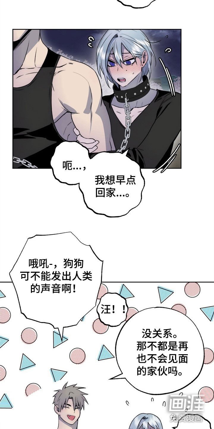 第40章：致命缺陷