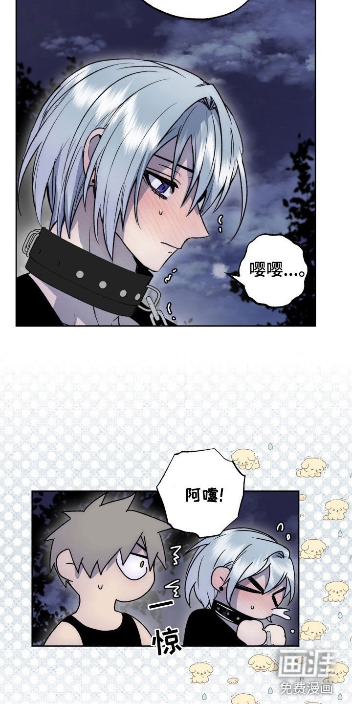 第40章：致命缺陷